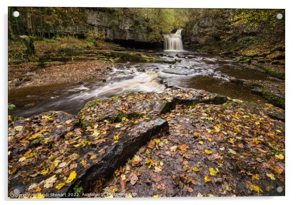 Cauldron Falls, West Burton, Yorkshire Dales Acrylic by Heidi Stewart