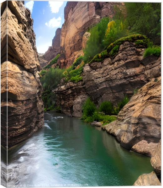 Narrow Canyon Graphic Canvas Print by Dina Rolle