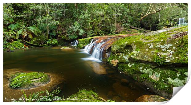 A Parallel View - Somesby Falls Print by Mark Lucey