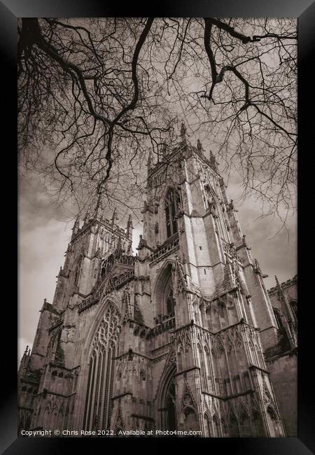 York Minster, spring. Framed Print by Chris Rose