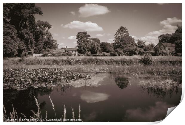 Frampton on Severn.  Village green and ponds. Print by Chris Rose