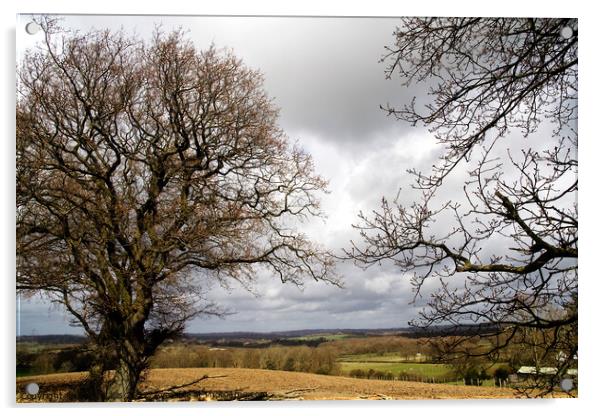 Stormy sky & oak trees Acrylic by Sally Wallis
