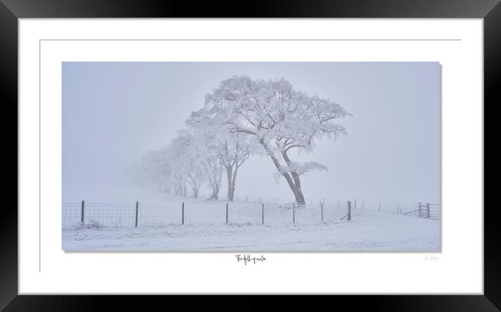 the depth of winter Framed Mounted Print by JC studios LRPS ARPS