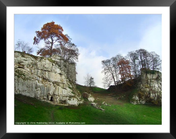 Hartington Trees Framed Mounted Print by Chris Mobberley