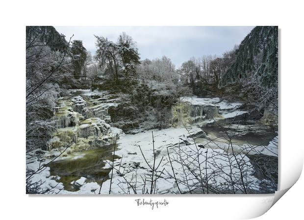 The beauty of winter Print by JC studios LRPS ARPS