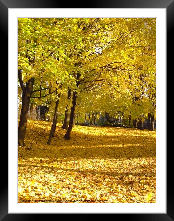 Golden Leaves Framed Mounted Print by Stephanie Moore