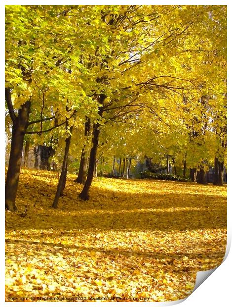 Golden Leaves Print by Stephanie Moore