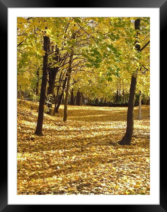 Autumn Leaves Framed Mounted Print by Stephanie Moore