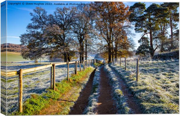 Winters day walk in the Surrey Hills Canvas Print by Steve Hughes