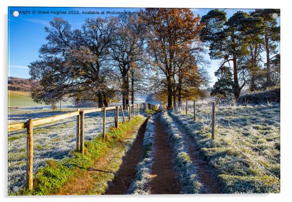 Winters day walk in the Surrey Hills Acrylic by Steve Hughes