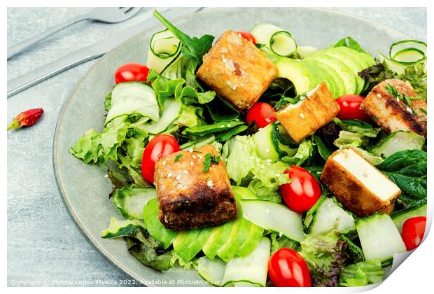 Salad of tofu and fresh vegetables, healthy eating Print by Mykola Lunov Mykola