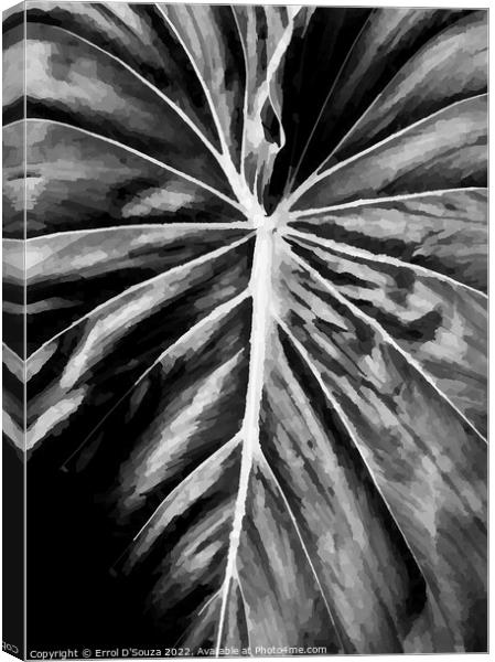 Leaf Close Up Canvas Print by Errol D'Souza