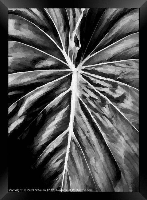 Leaf Close Up Framed Print by Errol D'Souza