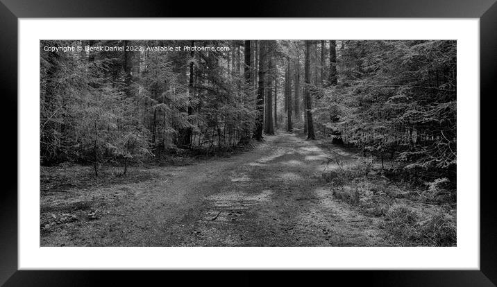 Enchanting Autumn Forest Framed Mounted Print by Derek Daniel