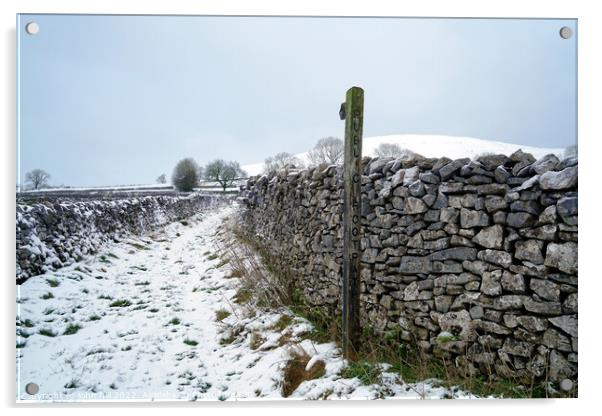 Winter footpath, Derbyshire Acrylic by john hill