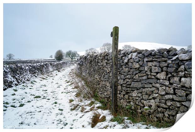 Winter footpath, Derbyshire Print by john hill