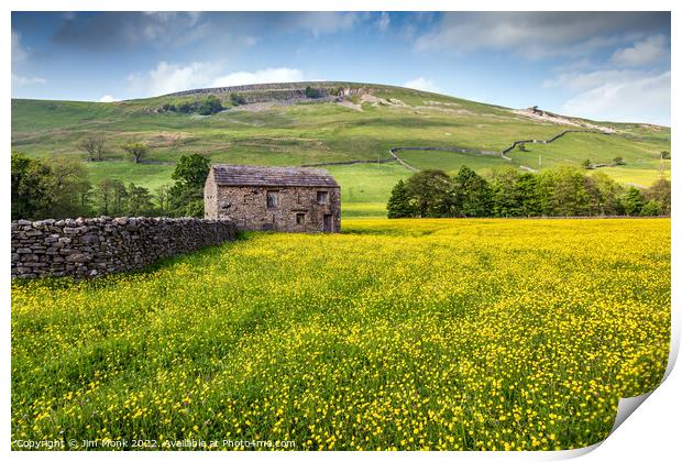Buttercup Meadow, Yorkshire Dales Print by Jim Monk