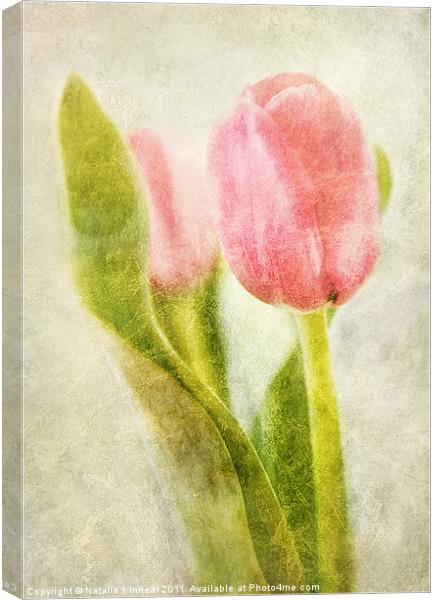 Textured Tulip Canvas Print by Natalie Kinnear