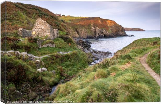 Trefin Mill Ruins, Pembrokeshire Canvas Print by Jim Monk