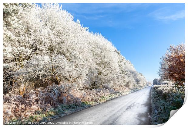 Amazing frozen trees on rural icy UK road Print by Simon Bratt LRPS