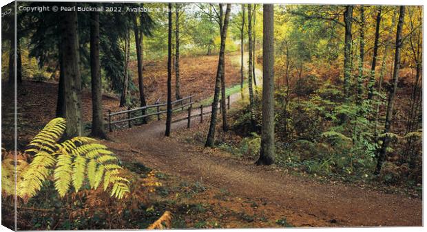 Alice Holt Woodland Path in Autumn panoramic Canvas Print by Pearl Bucknall