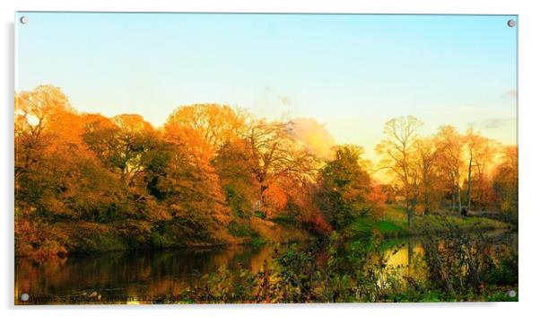 Autumn Day Acrylic by Richard Fairbairn