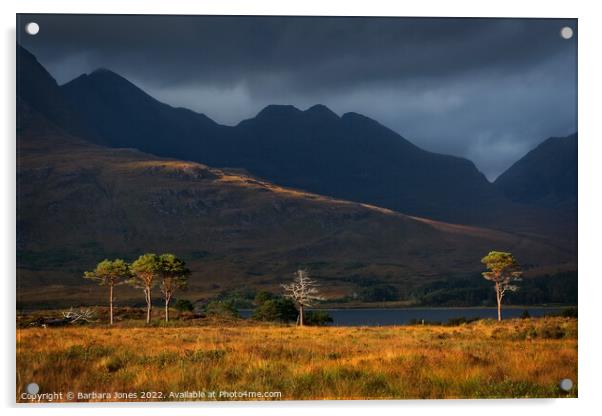 Beinn Alligin Moody Light Torridon Scotland. Acrylic by Barbara Jones
