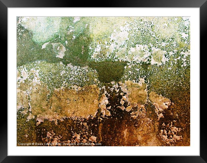 Textures of a living wall Framed Mounted Print by DEE- Diana Cosford