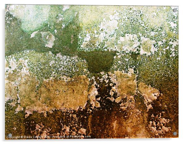 Textures of a living wall Acrylic by DEE- Diana Cosford