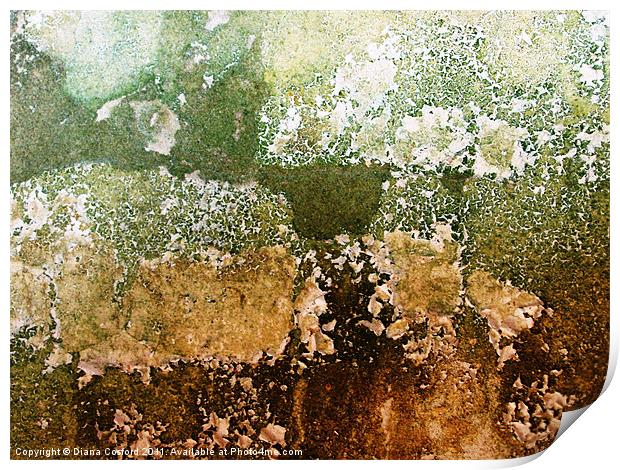 Textures of a living wall Print by DEE- Diana Cosford