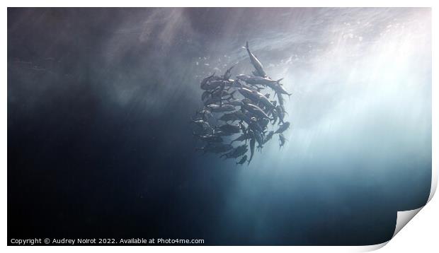 Underwater darkness and sunshine Print by Audrey Noirot