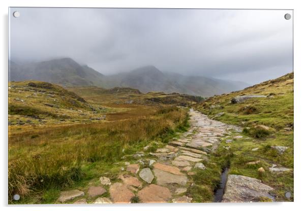 Snowdonia National Park Acrylic by chris smith