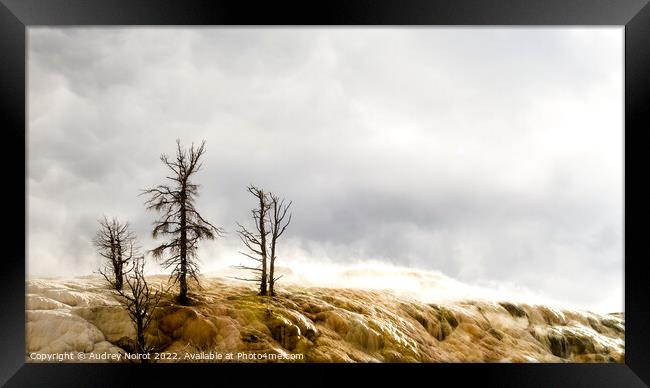 Apocalyptic landscape of Yellow Stone Framed Print by Audrey Noirot