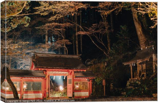 Night view of Japanese shrine Canvas Print by Sanga Park