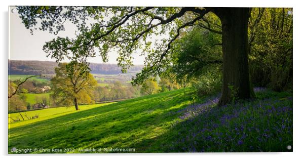 Spring landscape with bluebells Acrylic by Chris Rose