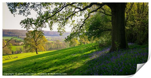 Spring landscape with bluebells Print by Chris Rose