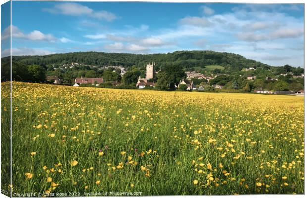 Spring buttercups field landscape Canvas Print by Chris Rose