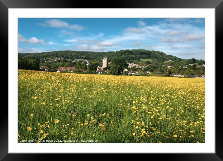 Spring buttercups field landscape Framed Mounted Print by Chris Rose