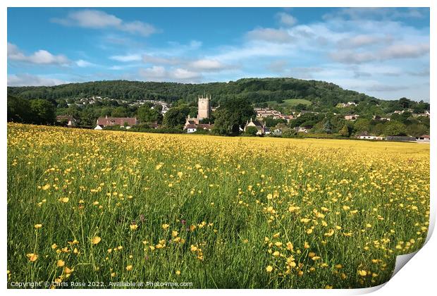 Spring buttercups field landscape Print by Chris Rose