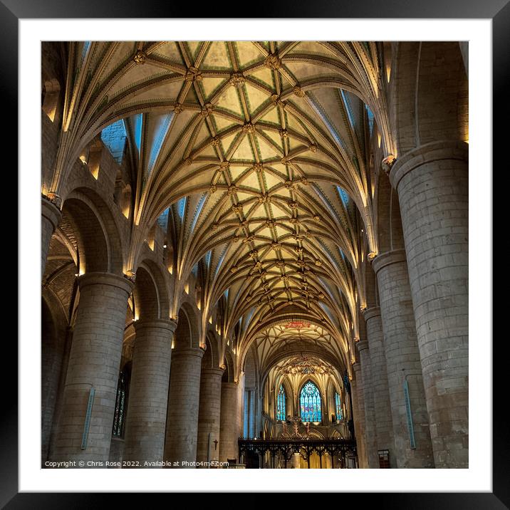  Tewkesbury Abbey decorative ceilings Framed Mounted Print by Chris Rose