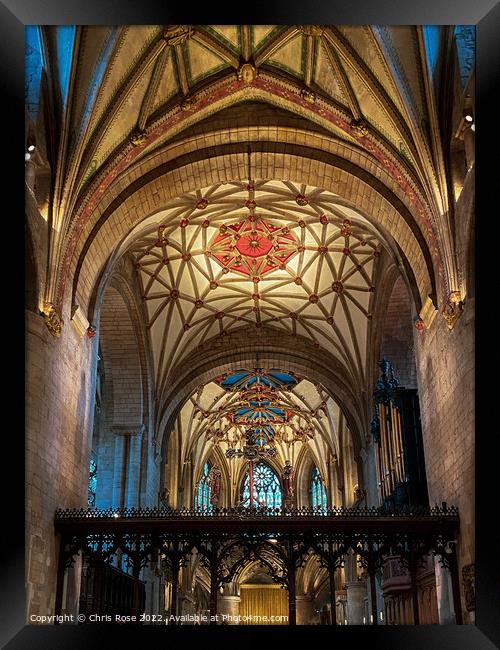  Tewkesbury Abbey decorative ceilings Framed Print by Chris Rose