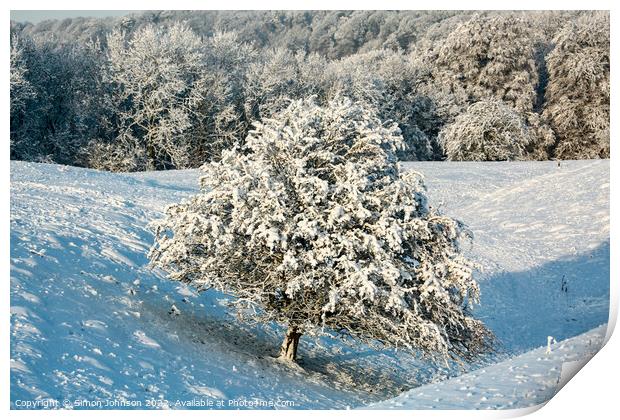 The leaning tree in winter Snow Print by Simon Johnson