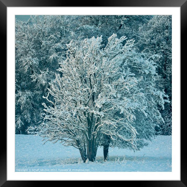Frosted tree Framed Mounted Print by Simon Johnson