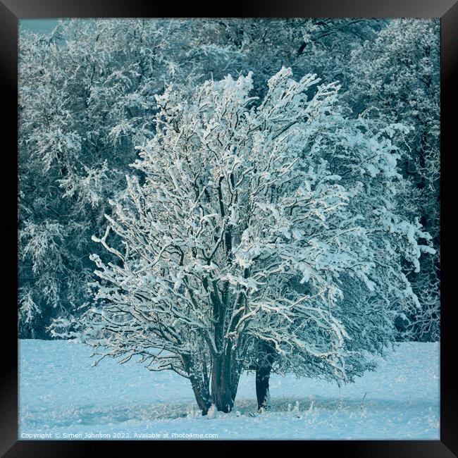 Frosted tree Framed Print by Simon Johnson