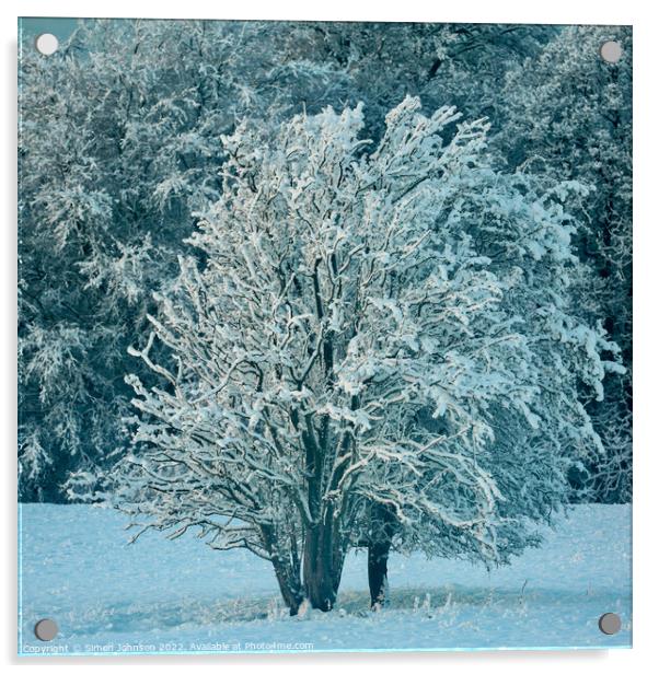 Frosted tree Acrylic by Simon Johnson