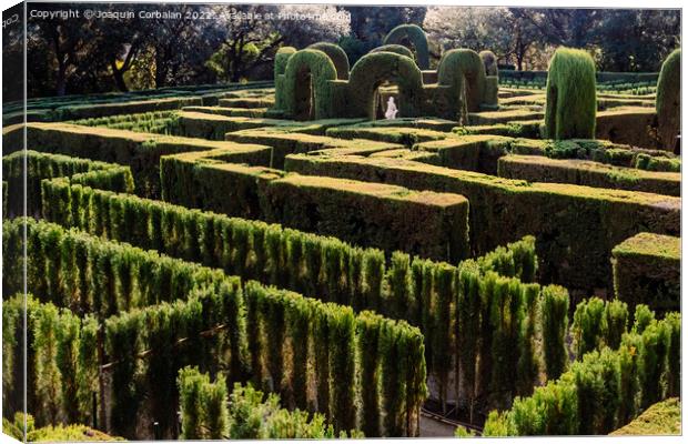 A maze with cypresses for people inside a romantic garden Canvas Print by Joaquin Corbalan