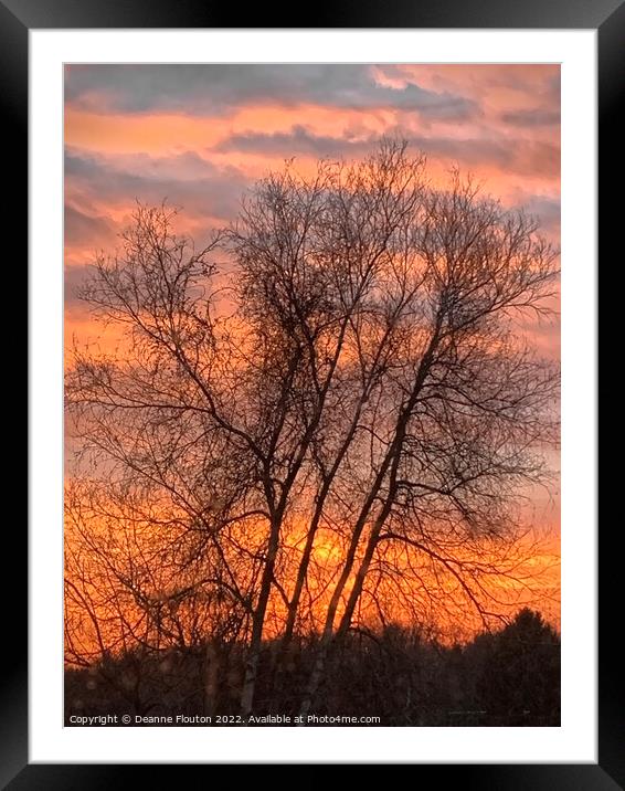 Spectacular  Winter Sunrise Framed Mounted Print by Deanne Flouton