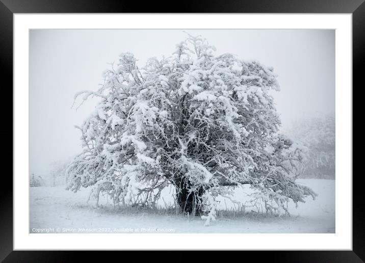 Frosted tree in monochrome  Framed Mounted Print by Simon Johnson