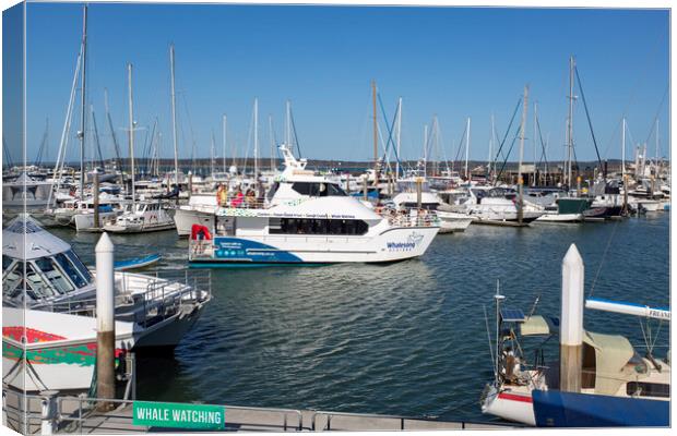 Hervey Bay Great Sandy Straits Marina Canvas Print by Antonio Ribeiro