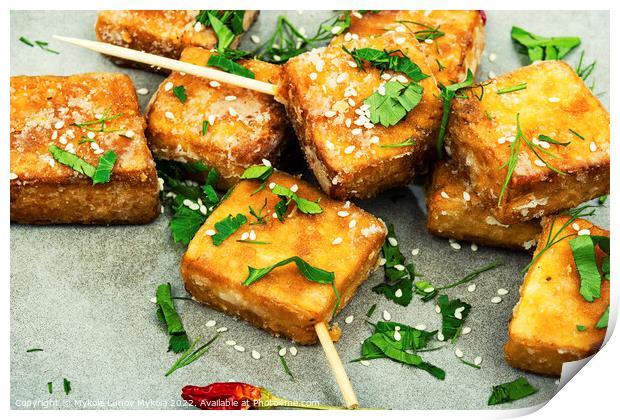 Delicious fried tofu cheese on sticks Print by Mykola Lunov Mykola
